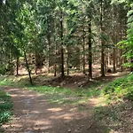 Waldferienhaus Dunja Mit Sauna- Whirlpool- Direkt Am Waldrand- Kletterfelsen By Interhome * Hain (Saxony)
