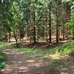 Waldferienhaus Dunja Mit Sauna- Whirlpool- Direkt Am Waldrand- Kletterfelsen By Interhome Сasa de vacaciones Hain (Saxony)