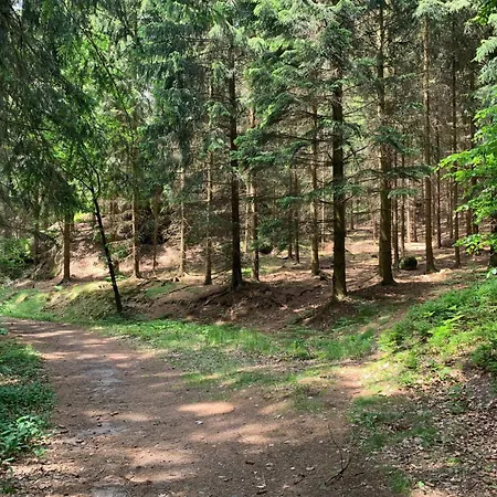 Waldferienhaus Dunja Mit Sauna- Whirlpool- Direkt Am Waldrand- Kletterfelsen By Interhome * Hain (Saxony)