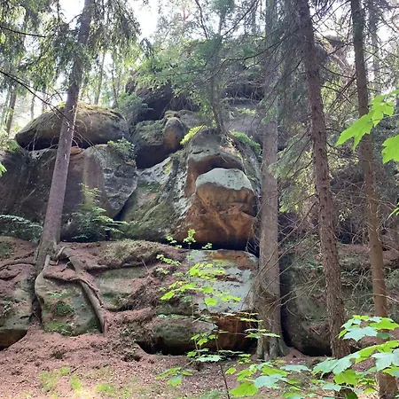 Waldferienhaus Dunja Mit Sauna- Whirlpool- Direkt Am Waldrand- Kletterfelsen By Interhome