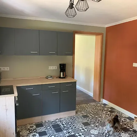 Waldferienhaus Dunja Mit Sauna- Whirlpool- Direkt Am Waldrand- Kletterfelsen By Interhome Hain (Saxony)