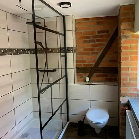 בית נופש Waldferienhaus Dunja Mit Sauna- Whirlpool- Direkt Am Waldrand- Kletterfelsen By Interhome Hain (Saxony)