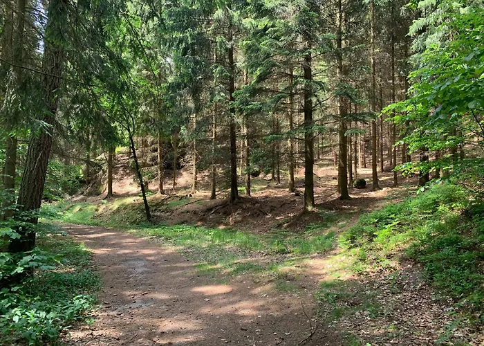 Waldferienhaus Dunja Mit Sauna- Whirlpool- Direkt Am Waldrand- Kletterfelsen By Interhome * Hain (Saxony)