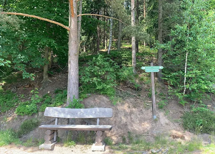 Waldferienhaus Dunja Mit Sauna- Whirlpool- Direkt Am Waldrand- Kletterfelsen By Interhome Ferienhaus