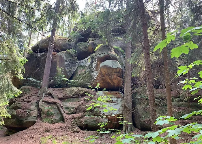Waldferienhaus Dunja Mit Sauna- Whirlpool- Direkt Am Waldrand- Kletterfelsen By Interhome
