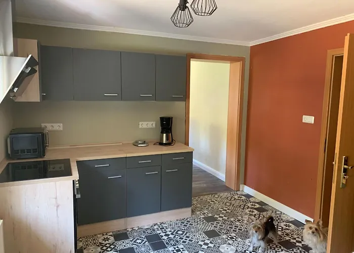 Waldferienhaus Dunja Mit Sauna- Whirlpool- Direkt Am Waldrand- Kletterfelsen By Interhome Hain (Saxony)