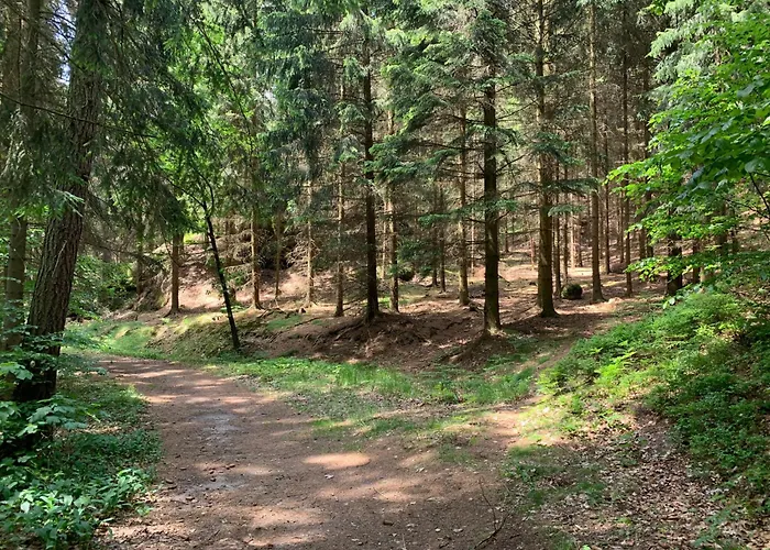 Waldferienhaus Dunja Mit Sauna- Whirlpool- Direkt Am Waldrand- Kletterfelsen By Interhome Ferienhaus Hain (Saxony)